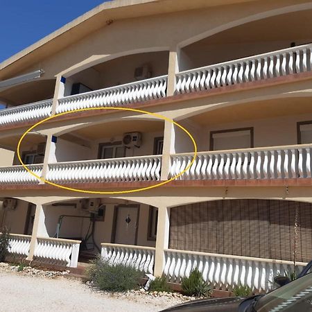 Apartment Vesna Vir Zewnętrze zdjęcie