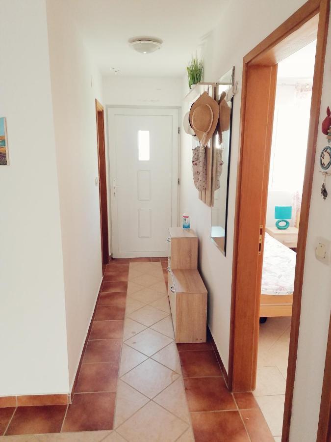 Apartment Vesna Vir Zewnętrze zdjęcie